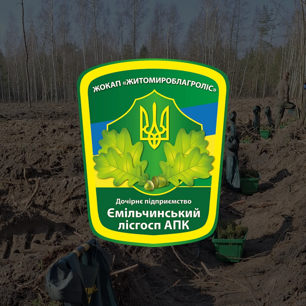 Посадка лісу в Сербівському лісництві post thumbnail