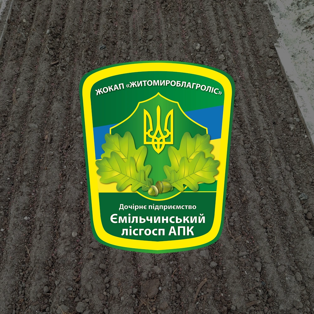 Вирощування лісу post thumbnail