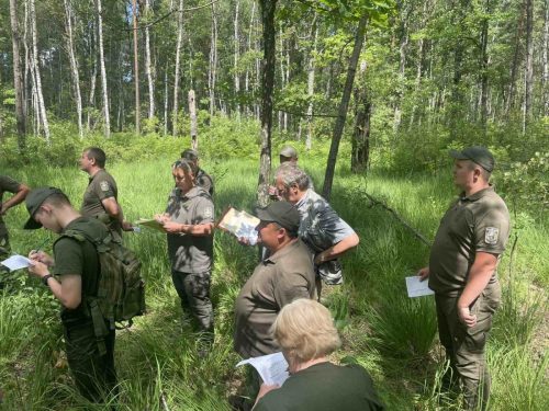 Базове лісовпорядкування лісових масивів
